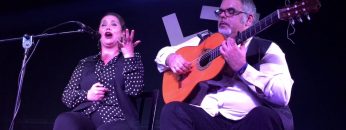 [ID: WCE9v8LIFyI] Youtube Automatic