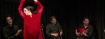 [ID: WcydgVexQ04] Youtube Automatic