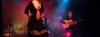 [ID: wgq8QFEKRYE] Youtube Automatic