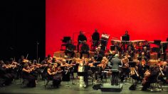 [ID: wks_cQUPuUg] Youtube Automatic