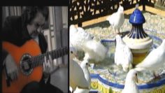 [ID: WLFQO6GcFeA] Youtube Automatic