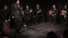 [ID: Wowz75RZphg] Youtube Automatic