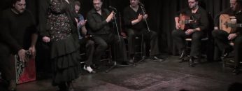 [ID: Wowz75RZphg] Youtube Automatic