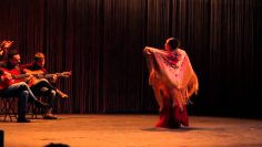 [ID: WPIk5HPac1s] Youtube Automatic