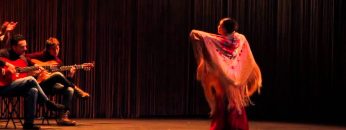 [ID: WPIk5HPac1s] Youtube Automatic