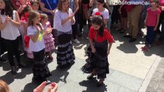 [ID: wqM6Ba-5ZHQ] Youtube Automatic