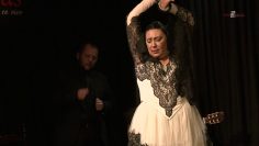 [ID: wsszEz00Hec] Youtube Automatic