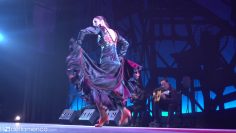 [ID: Wu14v19fNOo] Youtube Automatic