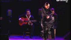 [ID: WxCJkYt7YEY] Youtube Automatic