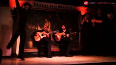 [ID: WynJ_XGqnk8] Youtube Automatic