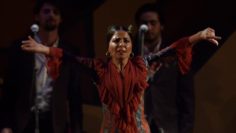 [ID: -xcea51l_6Y] Youtube Automatic