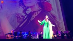 [ID: X__grE-YWPg] Youtube Automatic