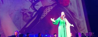 [ID: X__grE-YWPg] Youtube Automatic