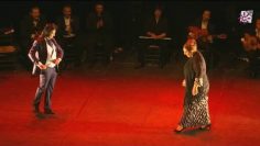 [ID: XI5APrIdzg4] Youtube Automatic