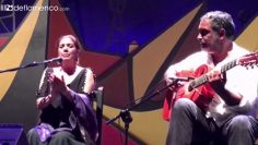 [ID: xPBlw6Agvr4] Youtube Automatic