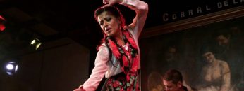 [ID: XRlHTPTKUIA] Youtube Automatic