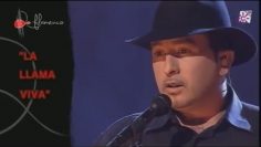 [ID: _Xy4AX8G38M] Youtube Automatic