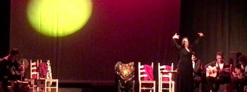 [ID: XzP-Osy2y2w] Youtube Automatic