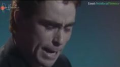 [ID: xzTGLscey64] Youtube Automatic