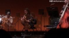 [ID: Y0K0pyAaMtE] Youtube Automatic