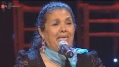 [ID: y2TxT9UBQ5Q] Youtube Automatic