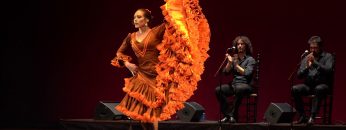 [ID: Y9fakMqLal0] Youtube Automatic