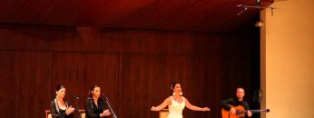 [ID: YdqfrmJkBtY] Youtube Automatic