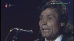 [ID: YDw95fCxVvY] Youtube Automatic