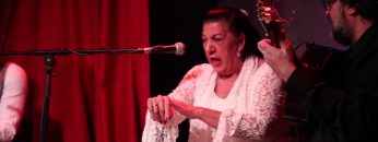 [ID: YE-BG0ewd1c] Youtube Automatic