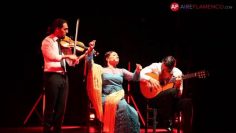 [ID: yFh42brS1Xo] Youtube Automatic