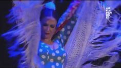 [ID: _ygNO_O1NMI] Youtube Automatic