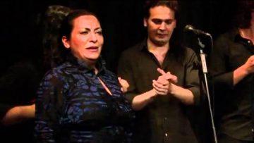 [ID: yhdc_1D3ICA] Youtube Automatic