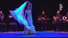 [ID: YkGqPo1GEew] Youtube Automatic