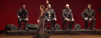 [ID: yotZZ4MmtyM] Youtube Automatic