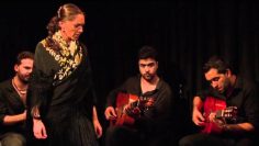 [ID: yP6OjD4HKdU] Youtube Automatic