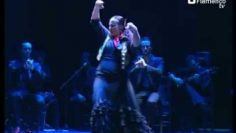 [ID: ypVSYdFBbK8] Youtube Automatic