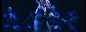 [ID: ypVSYdFBbK8] Youtube Automatic