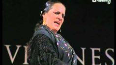 [ID: ypZ8r6pNrQk] Youtube Automatic