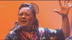 [ID: yR6E8qLvSeM] Youtube Automatic