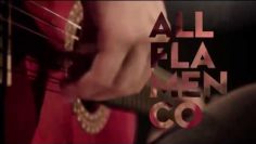 [ID: YS2cmA1MTu0] Youtube Automatic