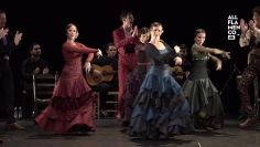 [ID: yt8CZ6k5U6o] Youtube Automatic