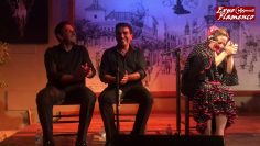 [ID: yUbhzgNvwPY] Youtube Automatic