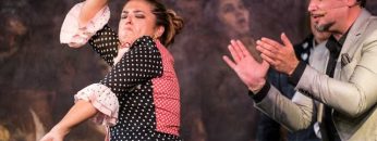 [ID: yuZlXK6gofg] Youtube Automatic