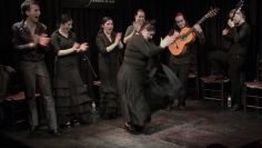 [ID: yVTBNCHG_II] Youtube Automatic