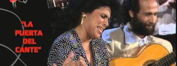 [ID: ywocJZQ9_UY] Youtube Automatic