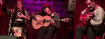 [ID: ywT_Ltb9YAs] Youtube Automatic