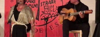 [ID: yyqfNjHB-7I] Youtube Automatic