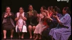 [ID: Z-NX510Q6Wk] Youtube Automatic