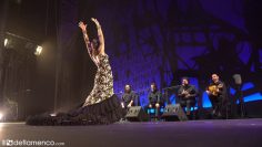 [ID: Z_2mT1fGEG4] Youtube Automatic