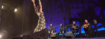 [ID: Z_2mT1fGEG4] Youtube Automatic